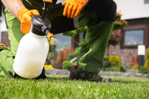 Best Ant Control Services  in Santaquin, UT