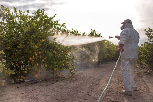 Best Wildlife Control Services  in Santaquin, UT