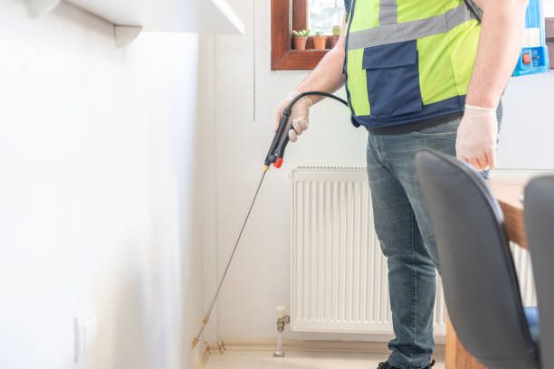 Best Termite Control Services  in Santaquin, UT