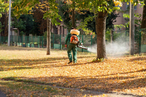 Best Affordable Pest Control Services  in Santaquin, UT