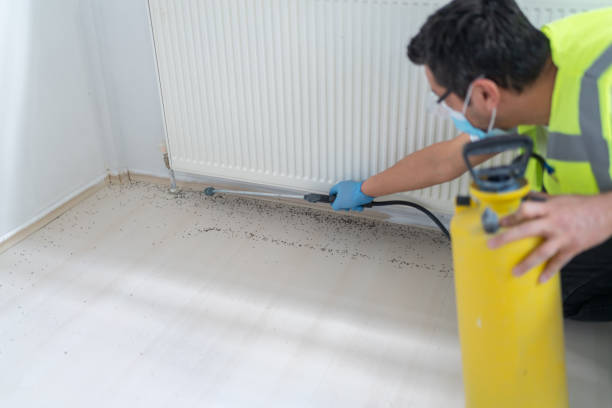 Best Best Pest Control Companies  in Santaquin, UT