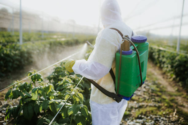 Best Residential Pest Control  in Santaquin, UT
